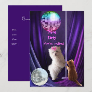 Inbjudan Disco Party Hund Katt Malteser Valp
