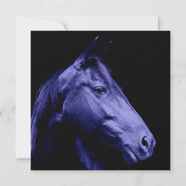 Inbjudan för blåtthästdesign (Framsida)