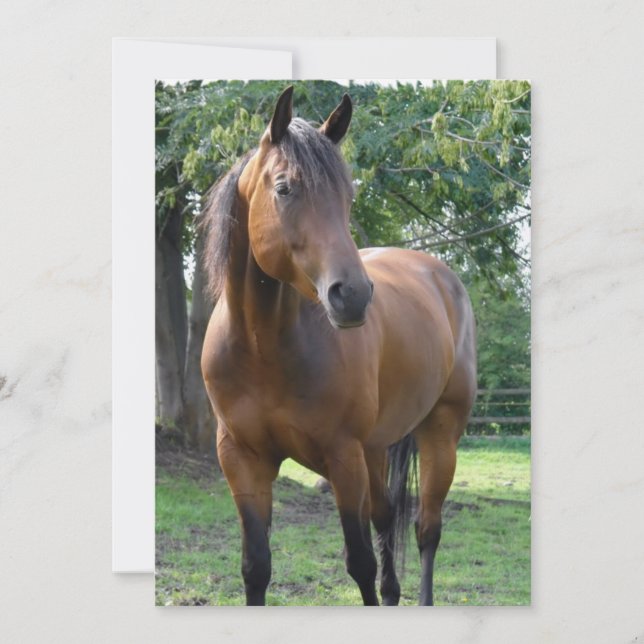 Inbjudan för fjärdThoroughbredhäst (Framsida)