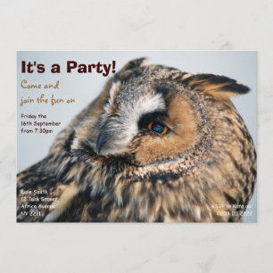Inbjudan för örnugglaparty