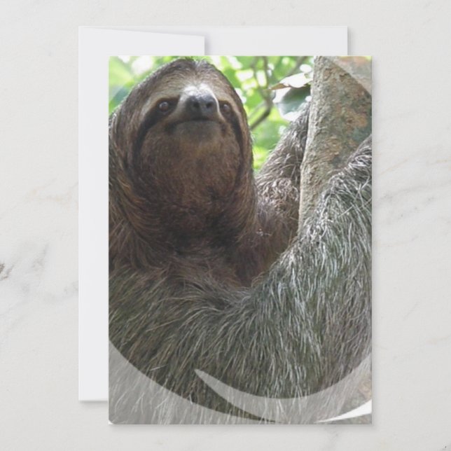 Inbjudan för Slothfotodesign (Framsida)