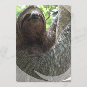 Inbjudan för Slothfotodesign