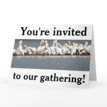 Inbjudan gratulationskort, pelikaner