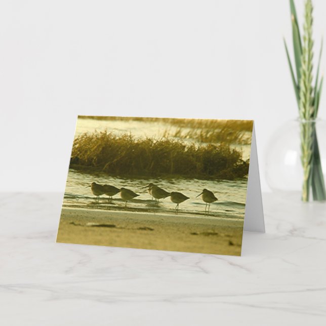 Inbjudan - Kom och delta i festen! (Framsida)