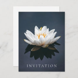 INBJUDAN: LOTUS DESIGNS INBJUDNINGAR