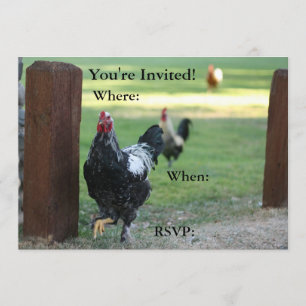 Inbjudan på Dubblan, Tupp