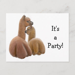 Inbjudan till Alpaca Buddies