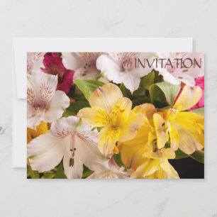 Inbjudan till Alstroemeria (Peruvian Lily)
