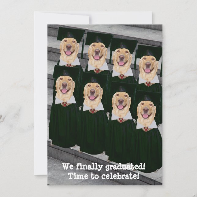 Inbjudan till Anpassade för praktisk Studentfest (Framsida)