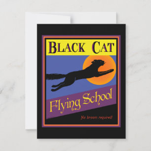 Inbjudan till Anpassningsbar i Black Cat-flygskola
