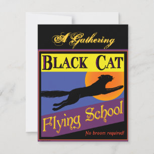 Inbjudan till Anpassningsbar i Black Cat-flygskola