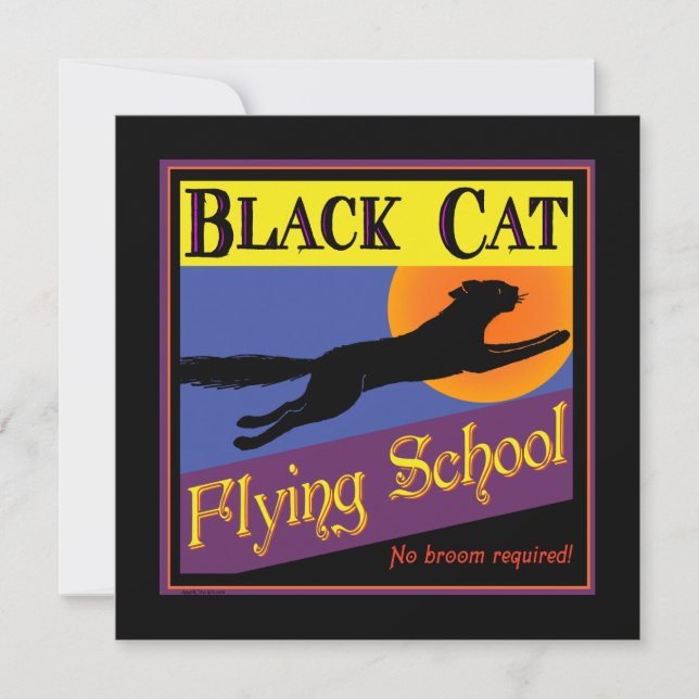 Inbjudan till Anpassningsbar i Black Cat-flygskola (Framsida)