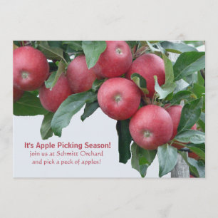 Inbjudan till Apple Orchard