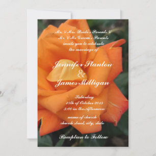 Inbjudan till blomman orange ro