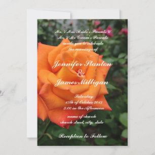 Inbjudan till blomman orange ro