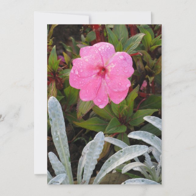 Inbjudan till blöt blomma, anpassa (Framsida)