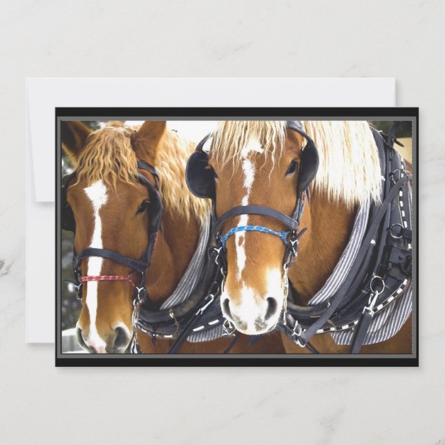 Inbjudan till Clydesdale Draft Horse (Framsida)