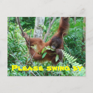 Inbjudan till Cute Animal Swingers Party Vykort