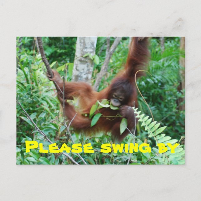 Inbjudan till Cute Animal Swingers Party Vykort (Framsida)