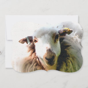 INBJUDAN TILL CUTE SHEEP