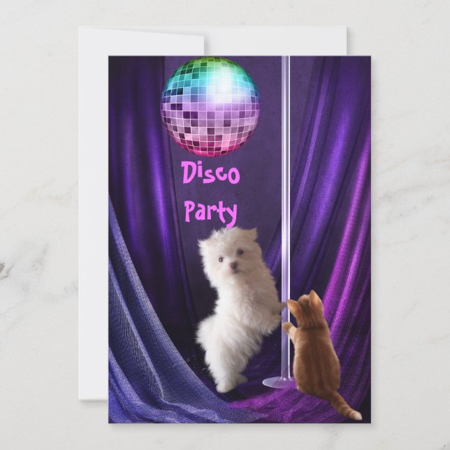 Inbjudan till Disco Party Hund Cat Malta Puppy (Framsida)