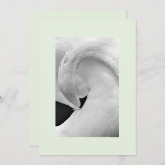 Inbjudan till elegant svan 5 x 7 för bröllop etc.