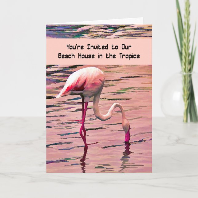 Inbjudan till ett tropiskt bågstuckstall (Framsida)