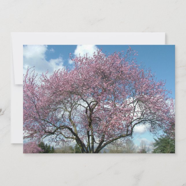 inbjudan till födelsedagsfest (Framsida)