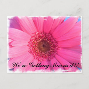 Inbjudan till Gerber Daisy Vykort
