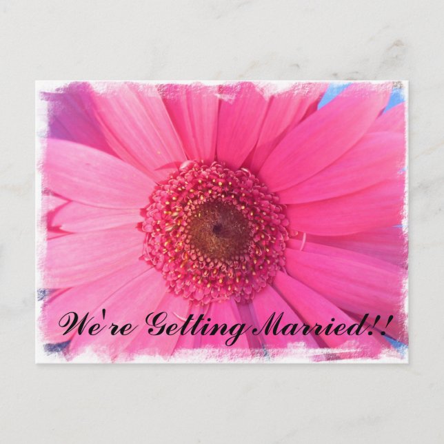 Inbjudan till Gerber Daisy Vykort (Framsida)