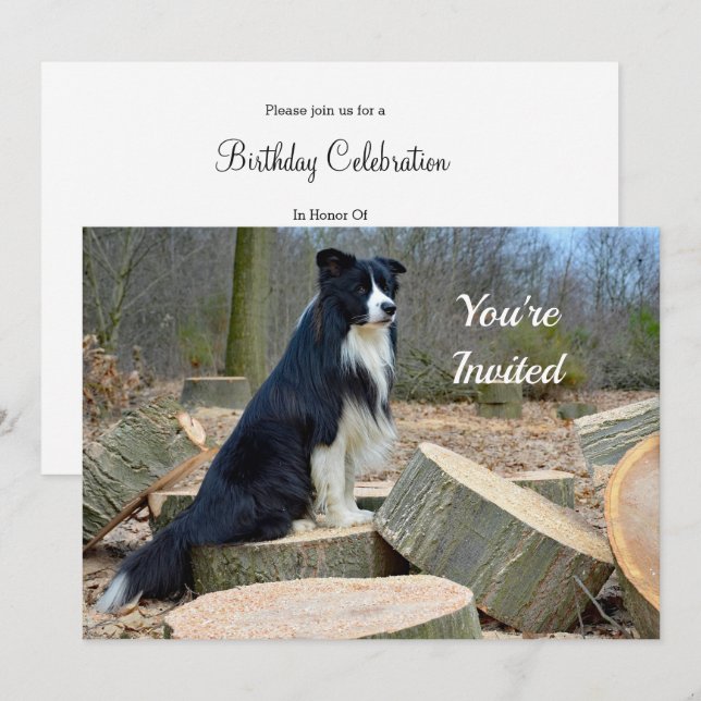 Inbjudan till gräns Collie Birthday (Fram/baksida)