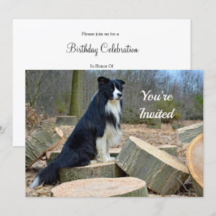 Inbjudan till gräns Collie Birthday