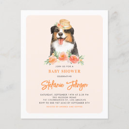 Inbjudan till Gräns Collie Peach Blommigt Baby Sho
