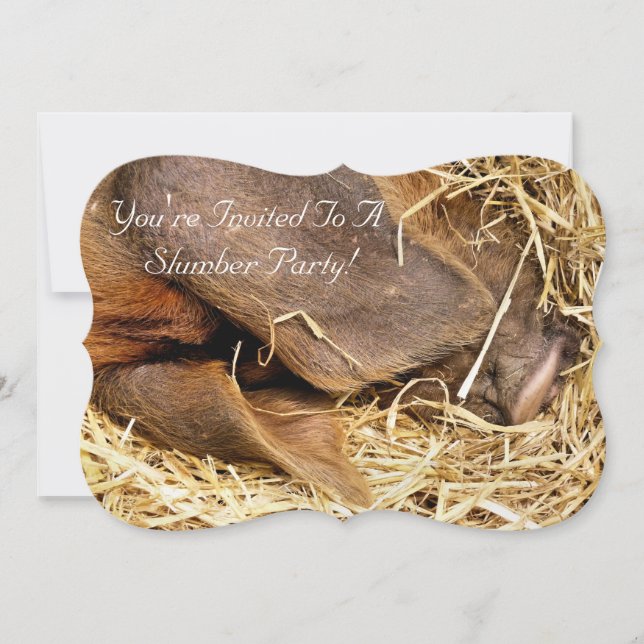 Inbjudan till gris (Framsida)