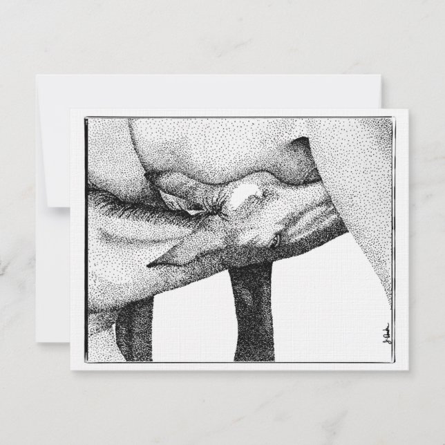 Inbjudan till hästfoder till babyskor (Framsida)