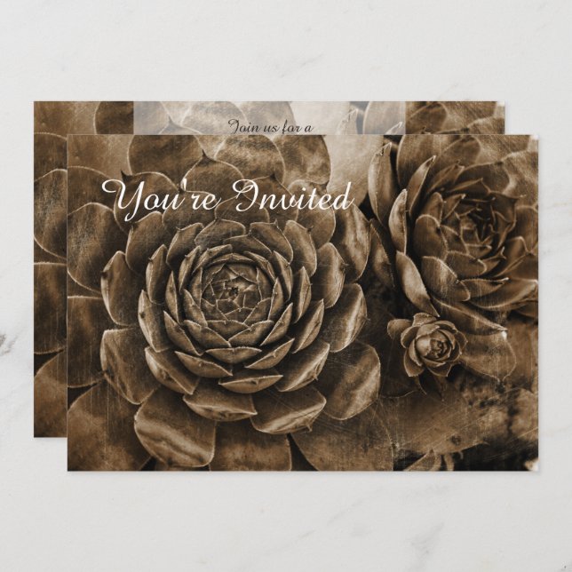 Inbjudan till höns och Chickar med Succulent Baby  (Fram/baksida)