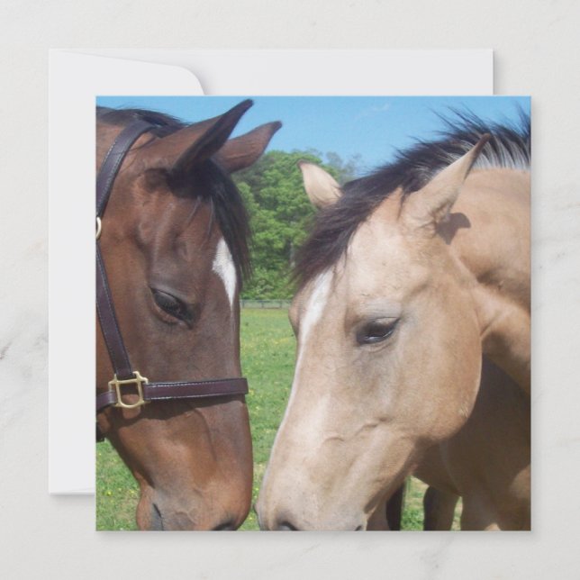 Inbjudan till Horse Romantik (Framsida)