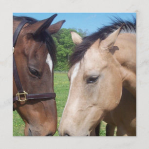 Inbjudan till Horse Romantik