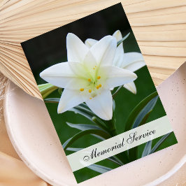 Inbjudan till Memorial Service - Lily