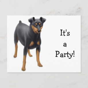 Inbjudan till minister Pinscher