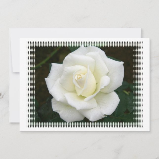 inbjudan till mötesdeltagare i Ro (Framsida)