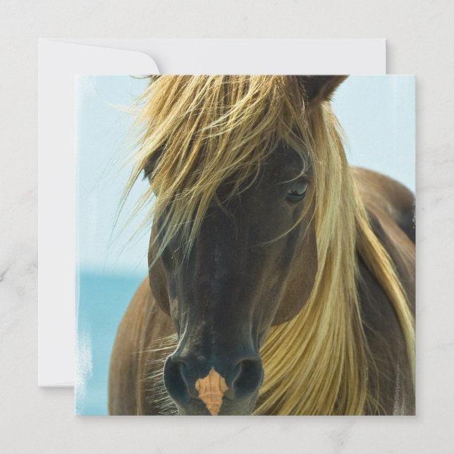 Inbjudan till mustanghäst (Framsida)