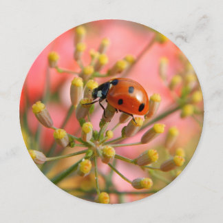 Inbjudan till Nyckelpiga-part