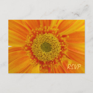 Inbjudan till OSA av orangens blomma