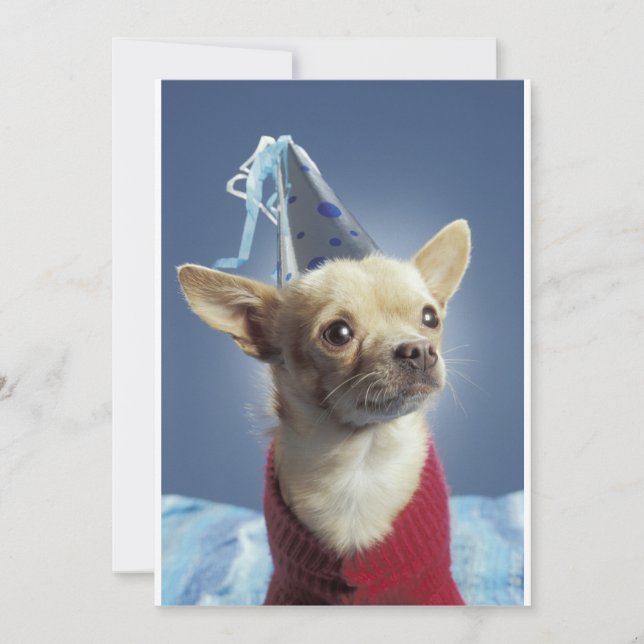 Inbjudan till Party Hund (Framsida)