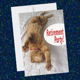 Inbjudan till pension-partiet med lustig katt