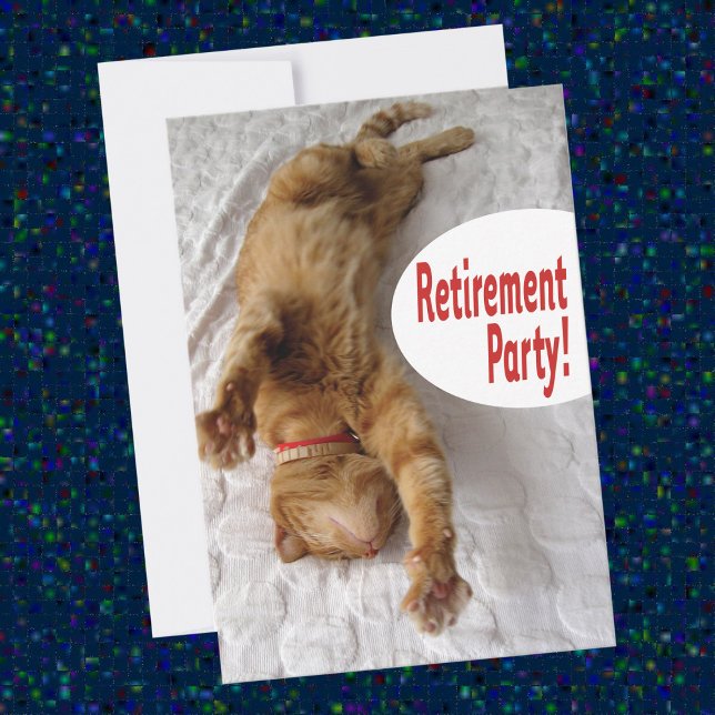 Inbjudan till pension-partiet med lustig katt (Skapare uppladdad)