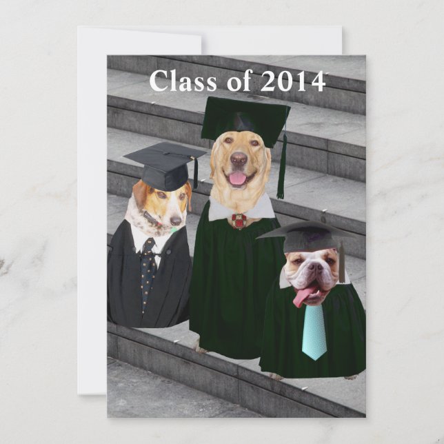 Inbjudan till Rolig hund Studentfest (Framsida)