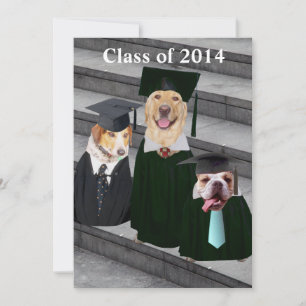 Inbjudan till Rolig hund Studentfest