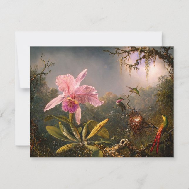 Inbjudan till rosa Orchid och tre Hummingbird (Framsida)